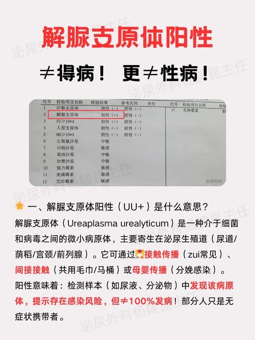 全国增13例阳性感染者/全国增14例确诊病例