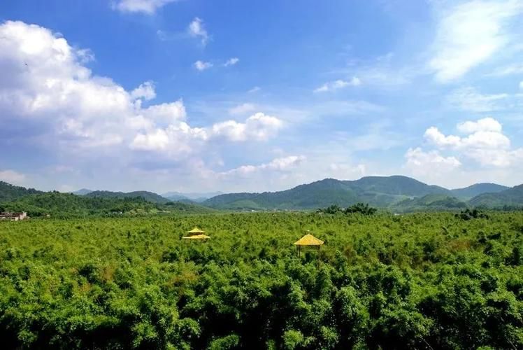 【专家:广东省肇庆市广宁县每年或现多个感染高峰,广东肇庆广宁县好不好】