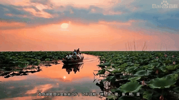 科普快讯 第21页