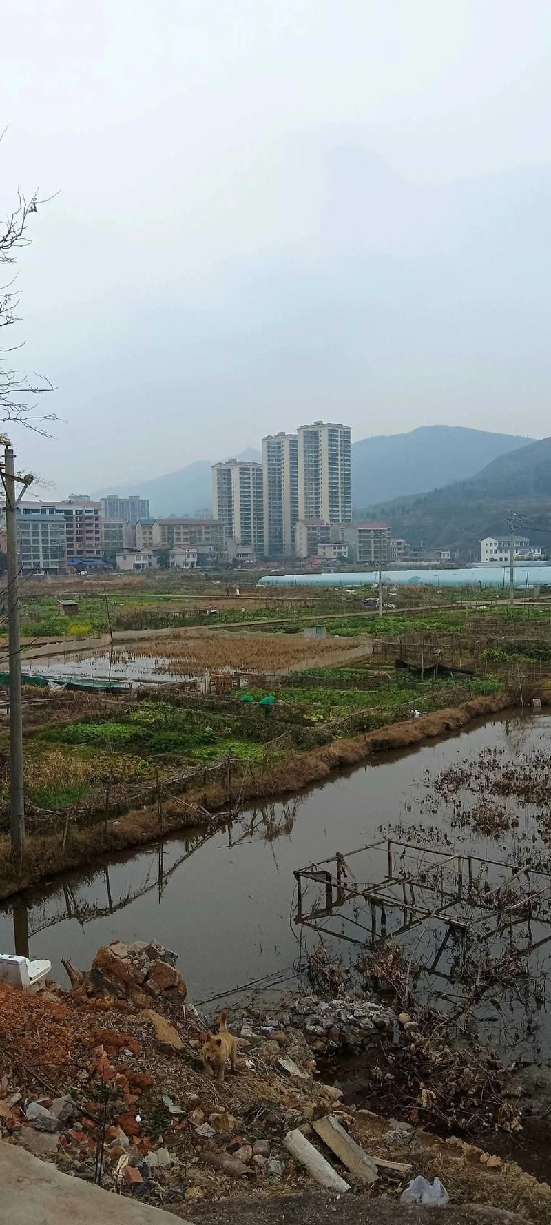 热点资讯 第19页