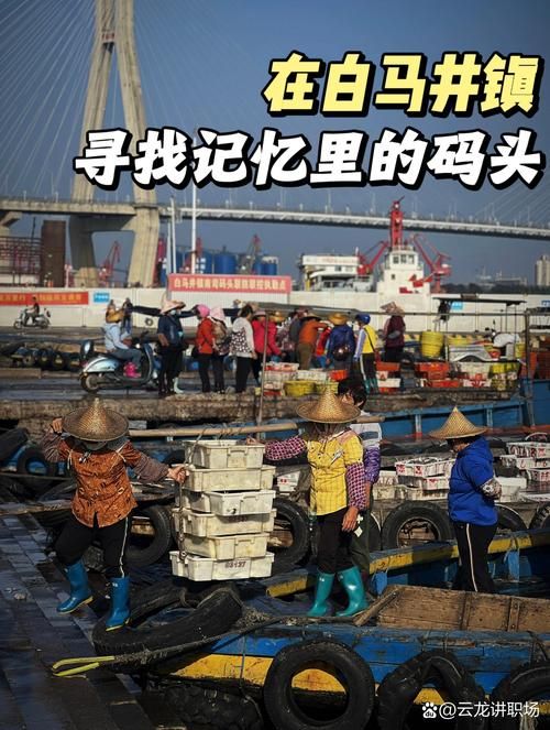 白马井镇疫情管控区最新消息:白马井属于什么区