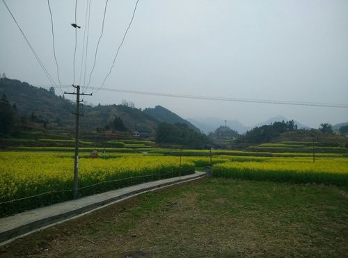 关于湖南怀化辰溪县新增本土确诊10例，均在内蒙古自治区乌兰察布商都县的信息
