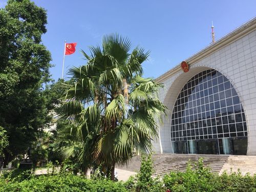 关于云南红河哈尼族彝族自治州红河县新增本土确诊11例，均在罗城仫佬族自治县的信息