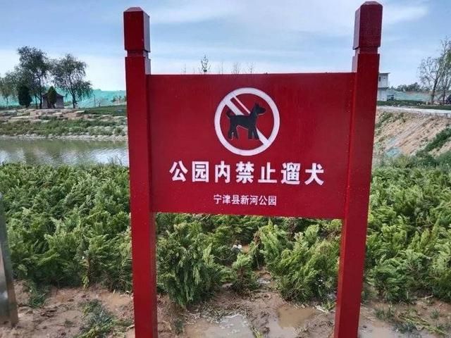 警方通报宁津县疫情最新情况(宁津疫情最新消息2020)