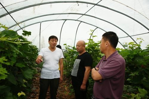 木兰县什么时候可以解封:木兰县有没有新型病毒病例