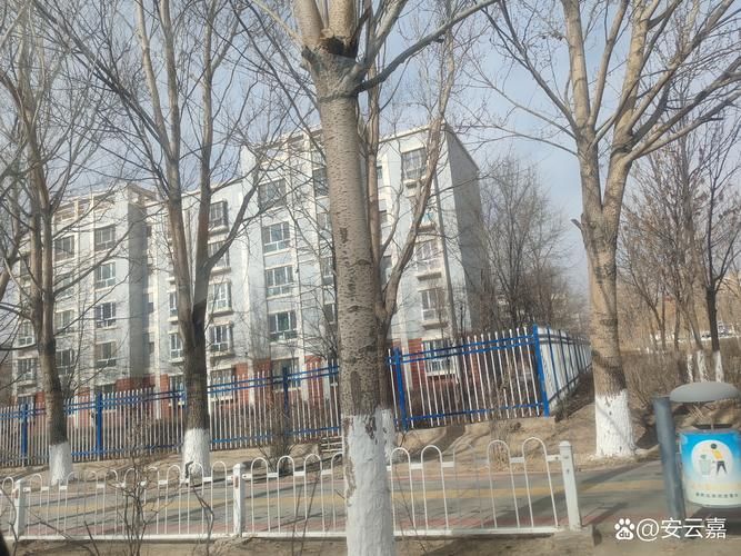 包含新疆维吾尔自治区克孜勒苏柯尔克孜自治州死亡病例已爆发6地的词条