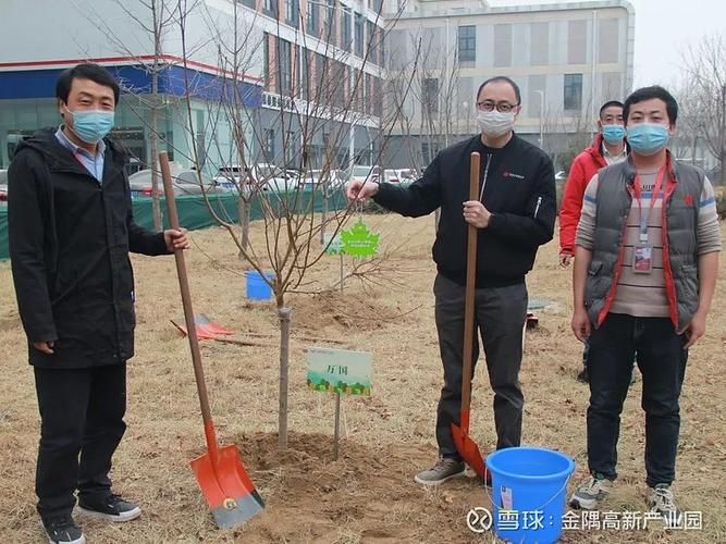 绿园区阳性感染者已结束4地(绿园区疫情防疫电话)