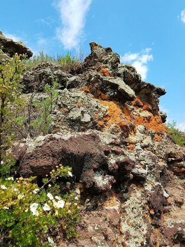 内蒙古自治区兴安盟阿尔山3月15日核酸阳性疫情趋势/兴安盟阿尔山疫情最新消息