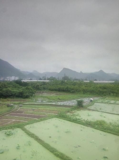 【警方通报广西壮族自治区桂林市秀峰区疫情最新情况,广西省桂林市秀峰区】