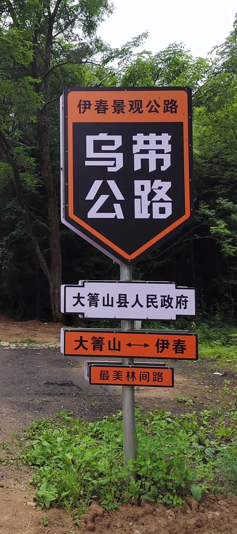 预计今日大箐山县二次疫情蔓延/大箐山县位置