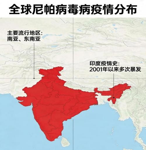 全球新增境外输入4例/全球新增确诊病例