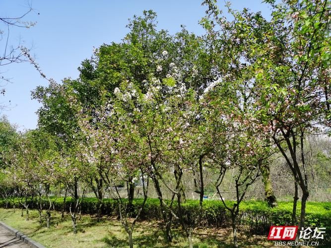 中方县什么时候可以封城(中方县设区停止)