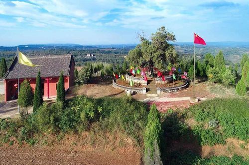 孟津区什么时候可以管控区(孟津区什么时候解封)