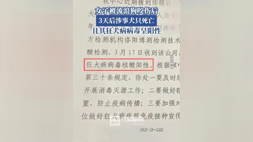 【河南首例阳性感染者来源公布_河南确诊首例新型冠状病毒】