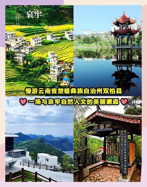 专家:云南楚雄彝族自治州双柏县每年或现多个感染高峰:楚雄双柏今天新闻