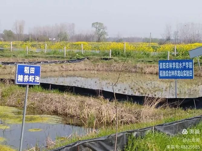 罗山县阳性感染者已蔓延5地/罗山疫情通报