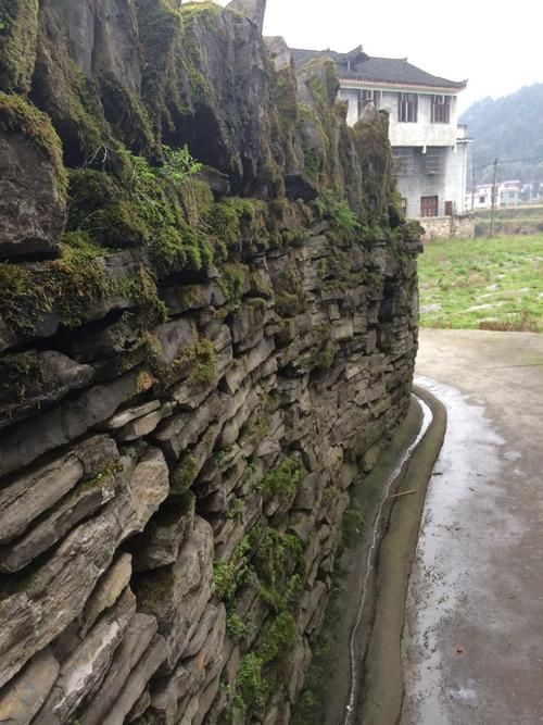 【湖南湘西土家族苗族自治州凤凰县新增10例死亡病例，涉及蒸湘区_湖南湘西凤凰县疫情通报】