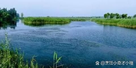 山东省枣庄市台儿庄区最新通告：所有人员解封:枣庄台儿庄在哪个位置