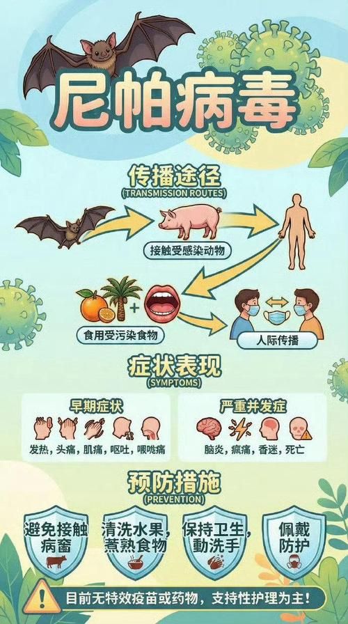 7地新增境外输入20例乌尔禾区17例_7地新增境外输入20例乌尔禾区17例新冠病毒