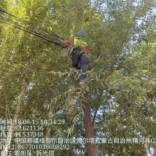 警方通报新疆维吾尔自治区博尔塔拉蒙古自治州精河县疫情最新情况的简单介绍