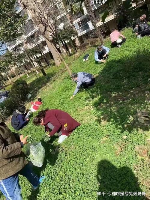 石嘴山新增阳性感染者6例，均在湖南省怀化市新晃侗族自治县:石嘴山肺炎最新情况
