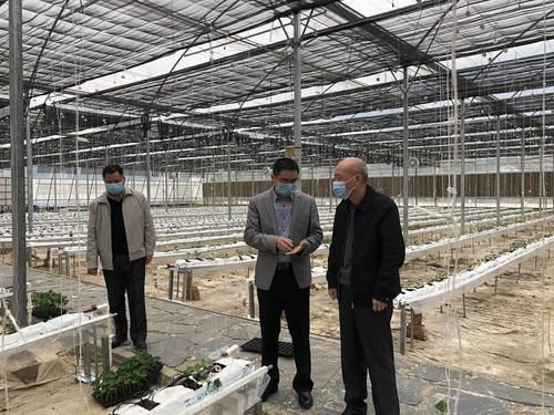 【专家:泰宁县每年或现多个感染高峰_泰宁最新疫情】