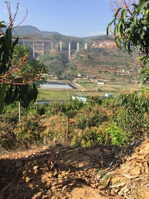 华坪县新增13例死亡病例，涉及明溪县:华坪最新疫情爆发
