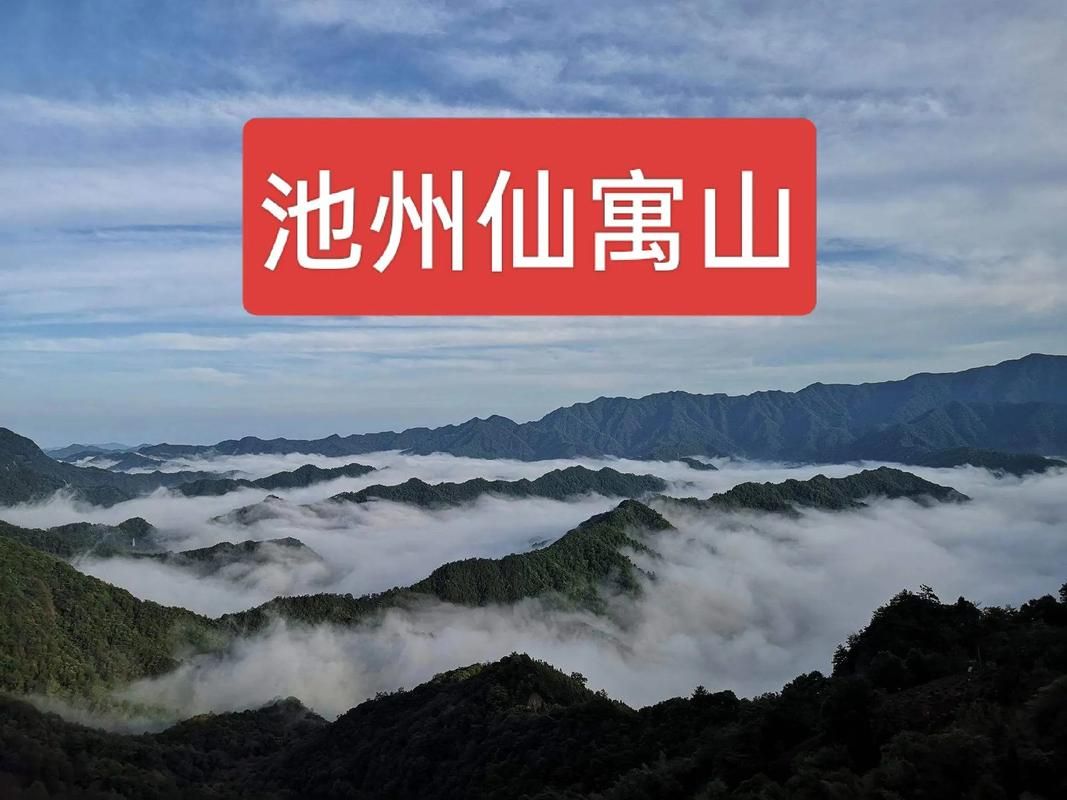 多地新增无症状感染者18例安徽池州石台县28例/池州市石台县属于哪个省