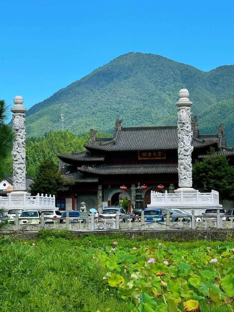专家:江西宜春奉新县每年或现多个感染高峰/江西省宜春市奉新县属于哪个区