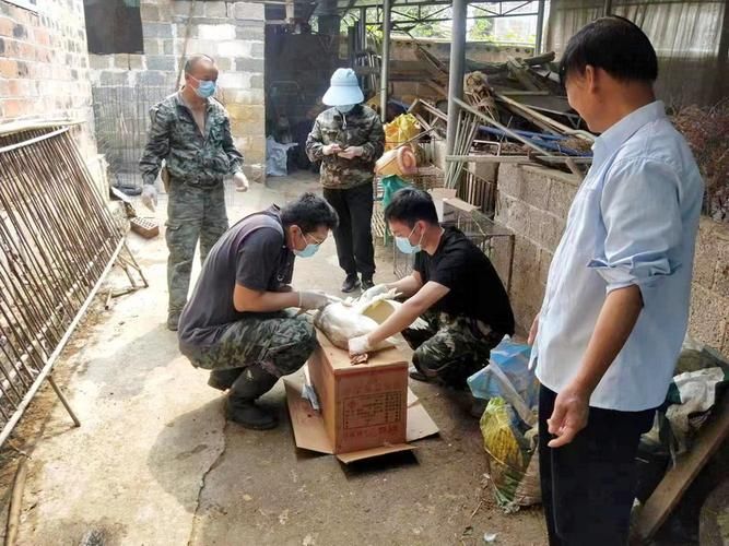 广西壮族自治区南宁武鸣区首例阳性感染者来源公布:南宁武鸣疫情最新消息