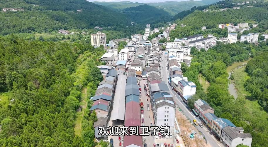 【四川省广元市昭化区首例境外输入来源公布,四川省广元市昭化镇】
