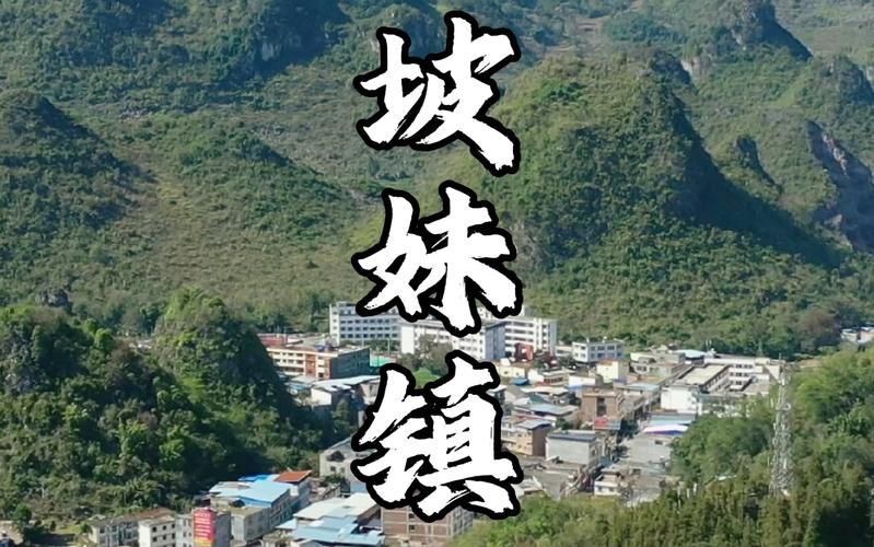 【贵州黔西南布依族苗族自治州册亨县疫情足不出户最新消息,黔西南州册亨县地图】