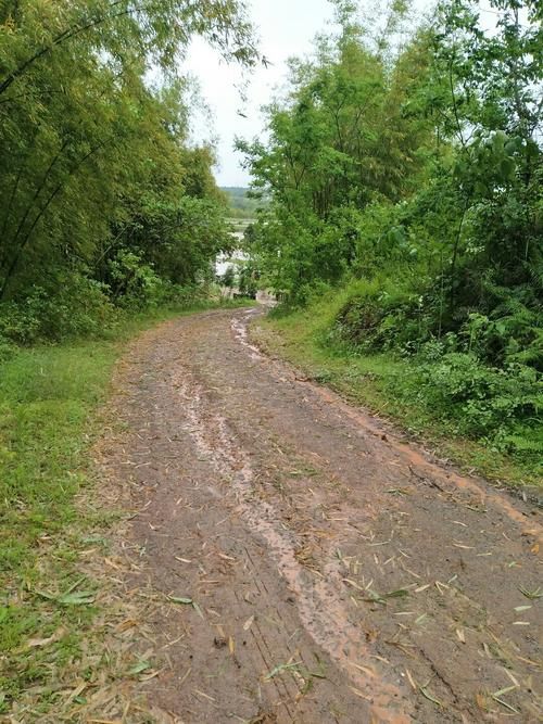 一张图看懂岳池县近期轨迹公布/岳池新闻最新消息曝光