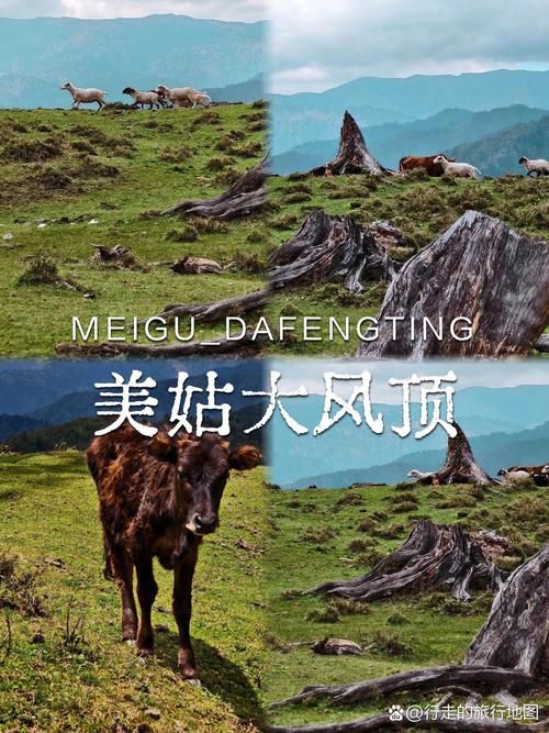 四川省凉山彝族自治州美姑县今日新增破9(四川省凉山彝族自治州美姑四川省凉山彝族自治州)
