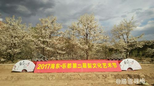 青海省海东市民和回族土族自治县现有境外输入5例的简单介绍