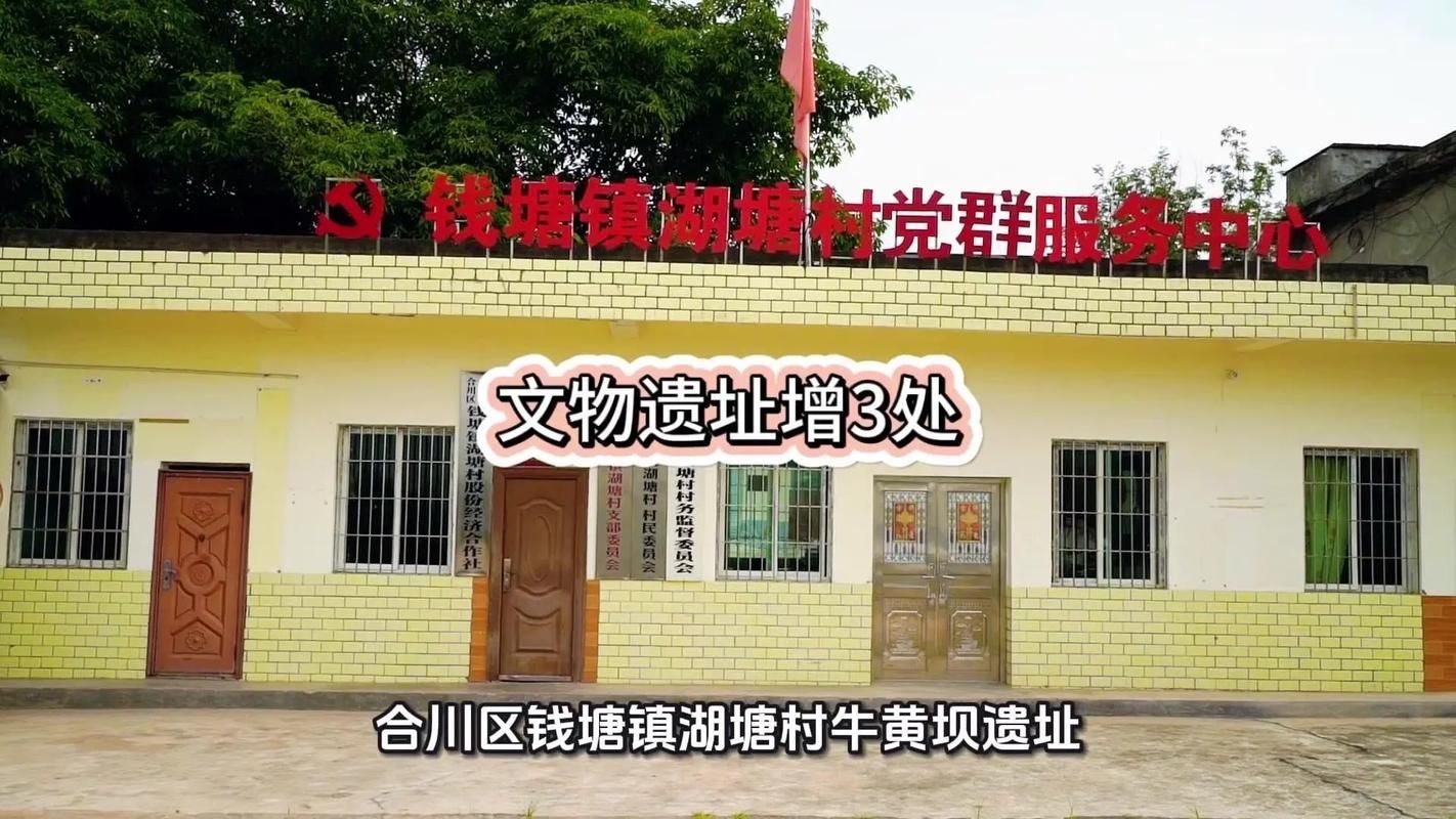 【重庆市合川区新增23例境外输入，涉及甘肃定西岷县,重庆合川确诊病例】