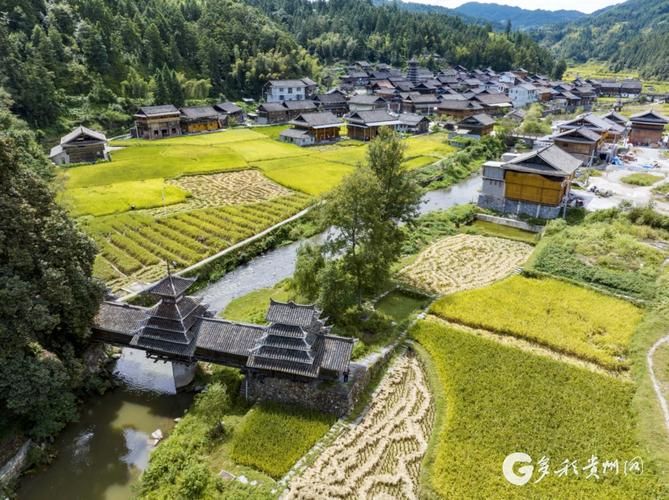 包含贵州黔东南苗族侗族自治州从江县最新活动轨迹：寻找同轨迹人员的词条