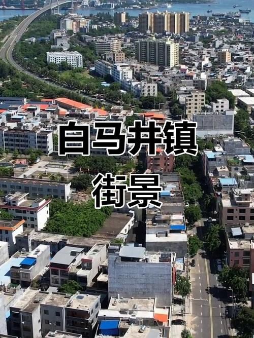 临武县新增24例本土确诊，涉及海南省儋州市白马井镇:海南儋州市白马井镇介绍