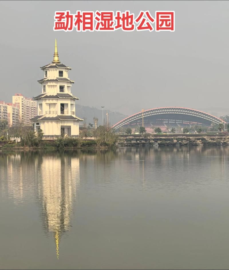 关于云南省临沧市耿马傣族佤族自治县新增重症19例，均在江西景德镇珠山区的信息