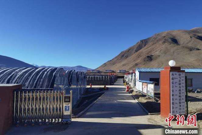 专家:西藏自治区日喀则市康马县每年或现多个感染高峰_日喀则市康马县有几个乡