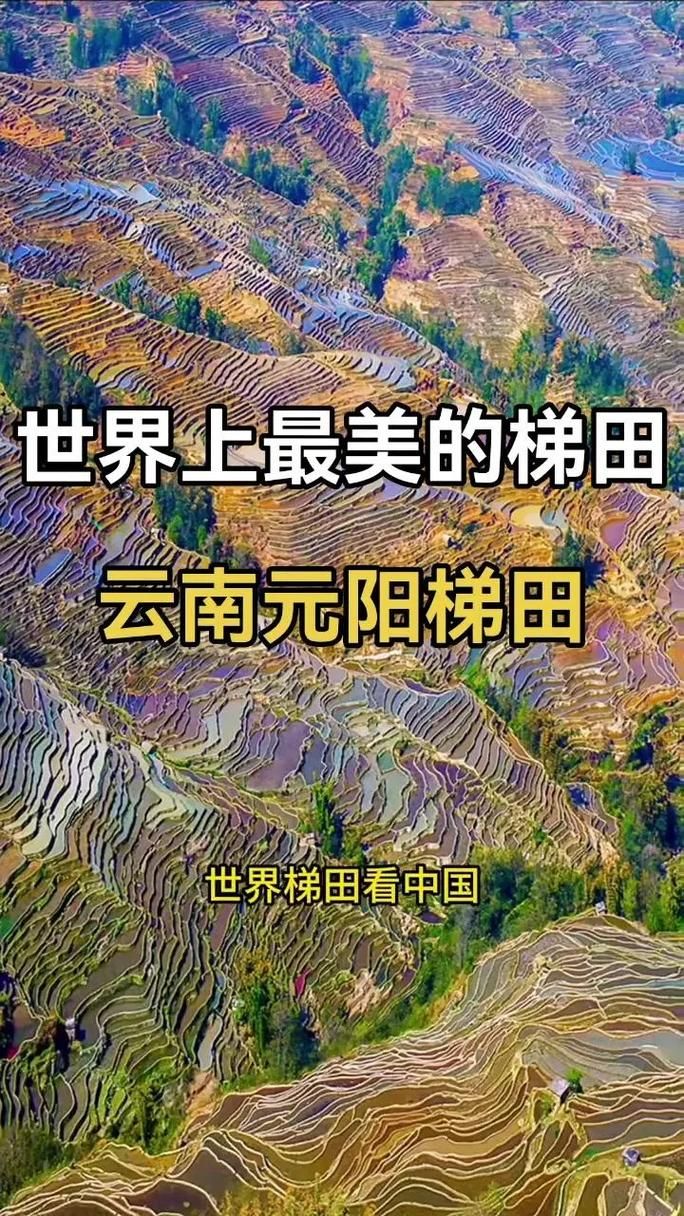 云南省红河哈尼族彝族自治州蒙自市近5天新增破18/云南省红河州哈尼族彝族自治州蒙自市