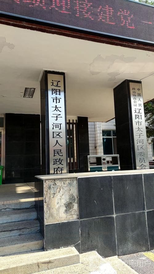 【辽宁辽阳太子河区现有重症11例,辽宁辽阳太子河区现有重症11例病例吗】