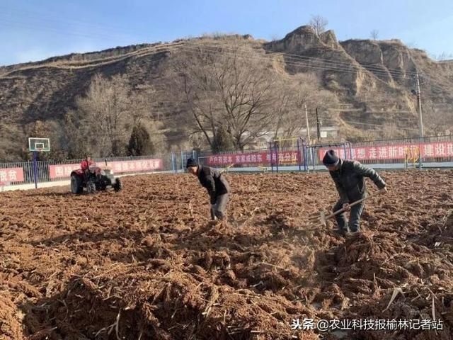 【陕西榆林佳县死亡病例已蔓延4地_今日榆林佳县新闻头条】