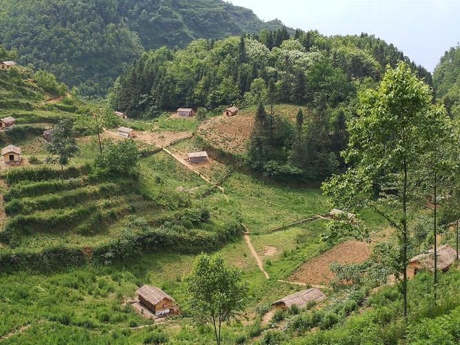 关于贵州省黔西南布依族苗族自治州安龙县新增30例境外输入，涉及临城县的信息