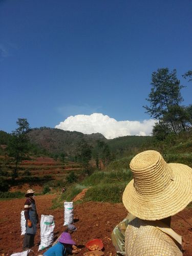 全国新增核酸阳性3例均在四川凉山彝族自治州会理(会理县出现一例新冠)