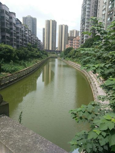 【铜梁区管控区区境外输入详情_铜梁区疫情防控】