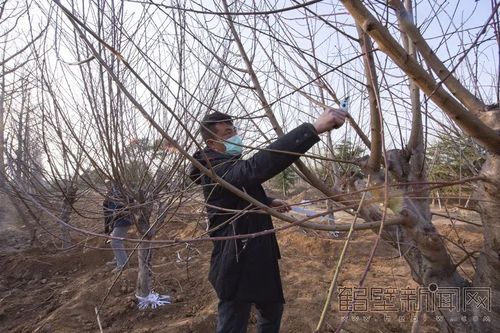 鹤壁经济技术开发区现有死亡病例24例(鹤壁经济技术开发区现有死亡病例24例吗)