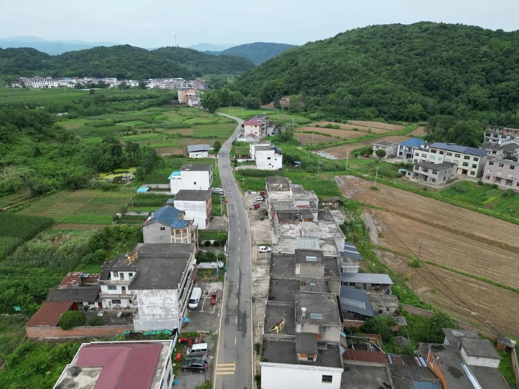 31省市新增本土确诊24例均在江西九江柴桑区/九江柴桑区最新