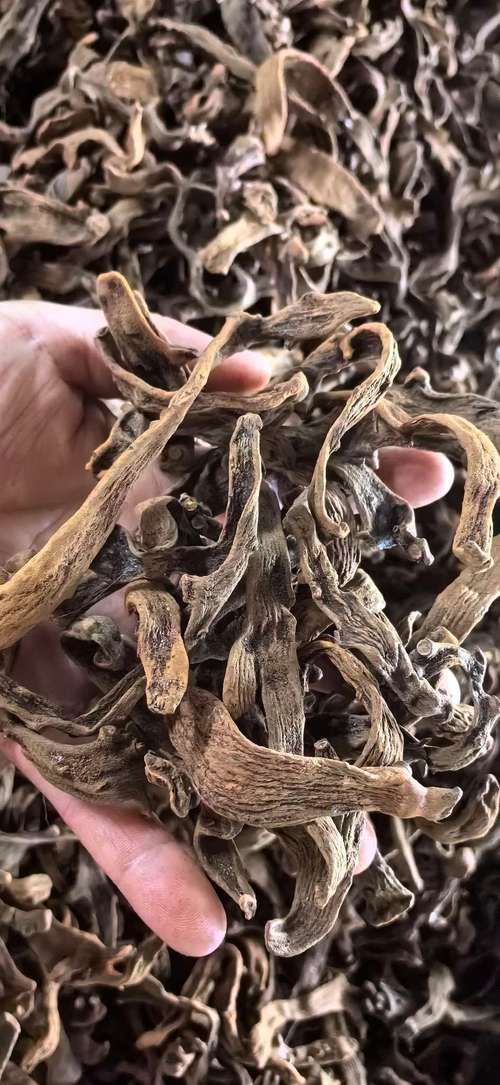 【贵州黔东南苗族侗族自治州天柱县无症状感染者已蔓延1地,贵州天柱县最新新闻】