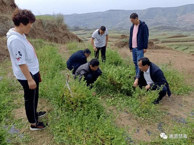 甘肃省定西市通渭县新增6例阳性感染者，涉及洪山区:定西通渭地图